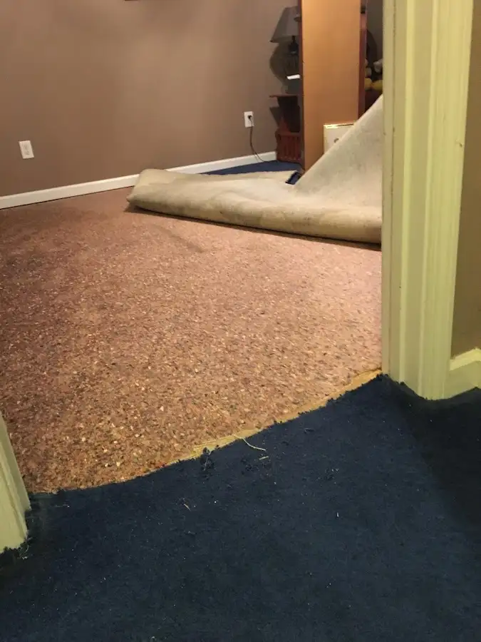 Carpet pad removal revealing water damage during Water Mitigation Services in Highland